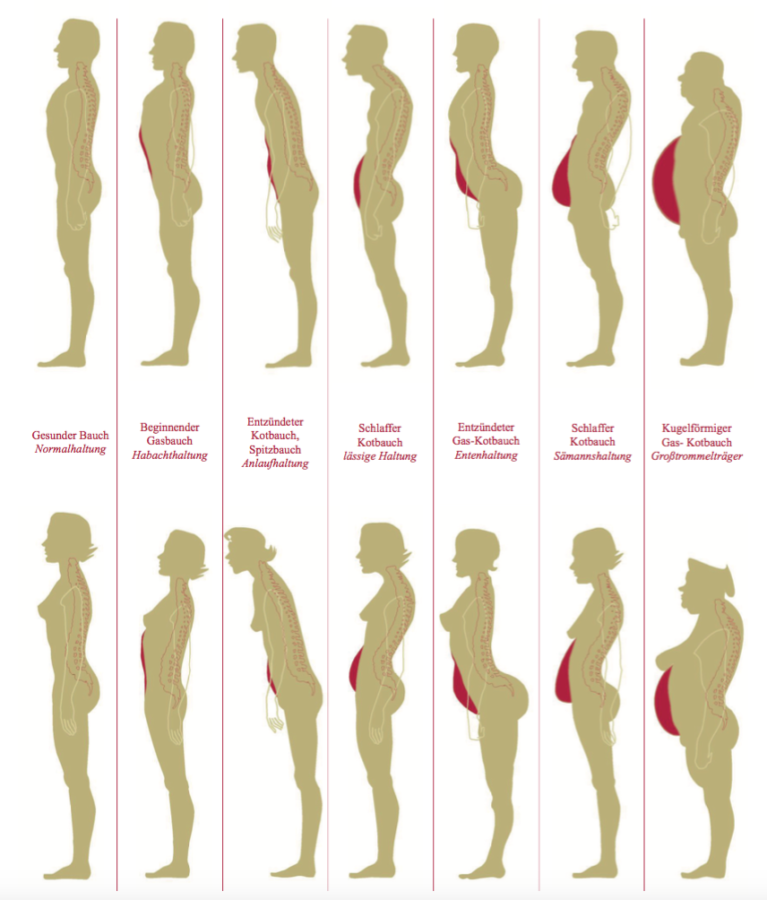Bauch- und Haltungsformen nach Dr. F. X. Mayr